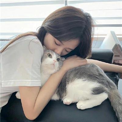 杀八方